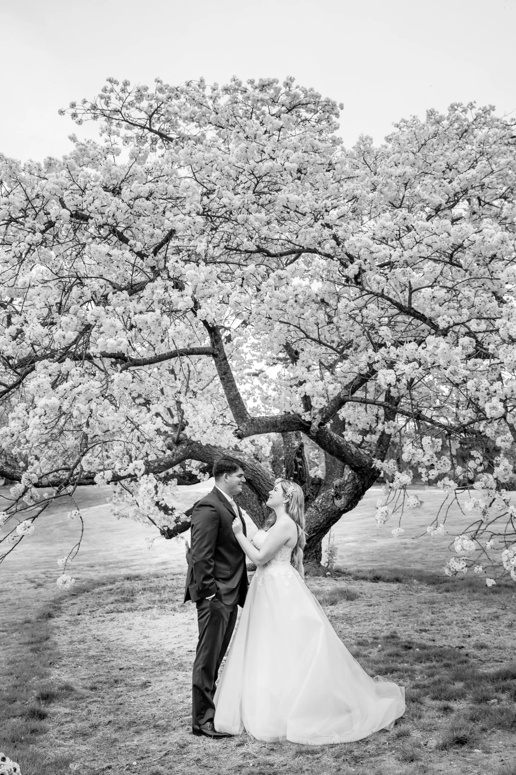 Deja Vu Studios wedding photography